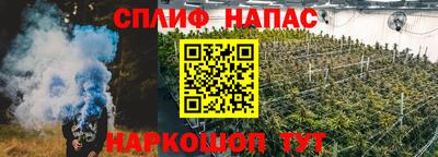 хмурый Дубна