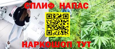 хмурый Дубна
