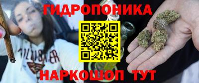 индика Донецк