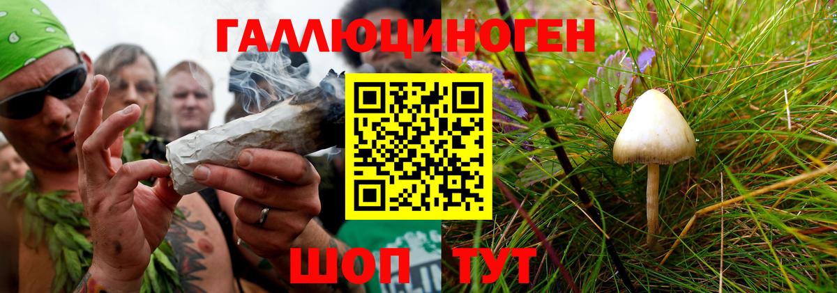 Галлюциногенные грибы GOLDEN TEACHER Ликино-Дулёво