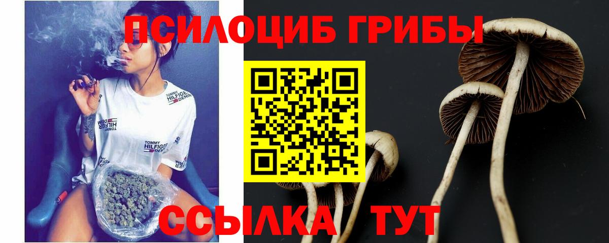 Псилоцибиновые грибы Psilocybe  Вход с VPN  Ликино-Дулёво  Галлюциногенные грибы Magic Shrooms 
